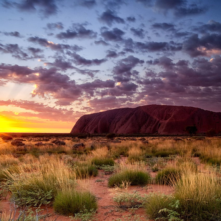 8 najlepszych miejsc na australijskie pustkowia, australijskie pustkowia Tapeta na telefon HD