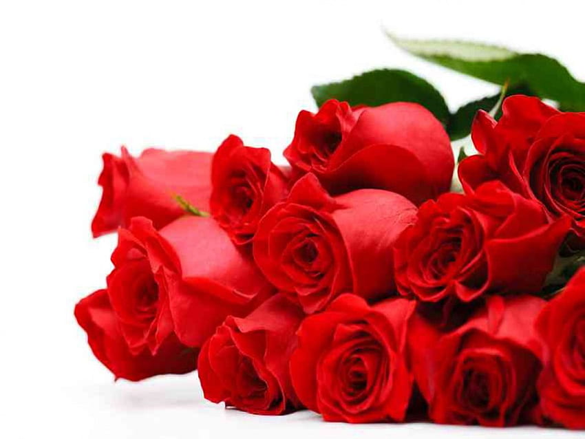 regalo del día de San Valentín, rosas rojas, rosas, día de San Valentín, amor fondo de pantalla