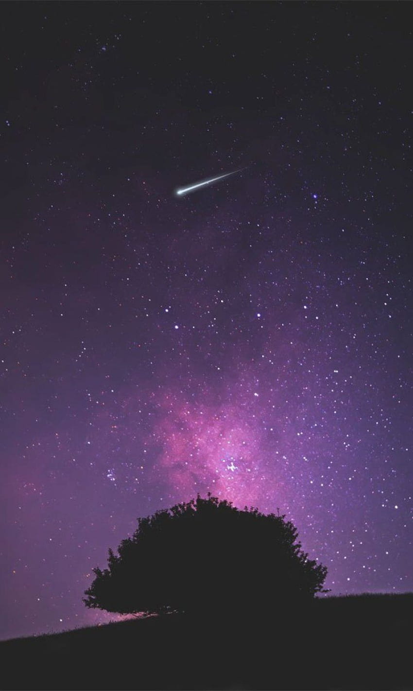 Beautiful night sky with shooting star - Idea, Evening Sky Stars HD phone  wallpaper | Pxfuel
