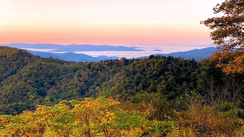 日の出、秋、テネシー州、アメリカ、風景、色、木でグレート スモーキー マウンテンズ国立公園 高画質の壁紙