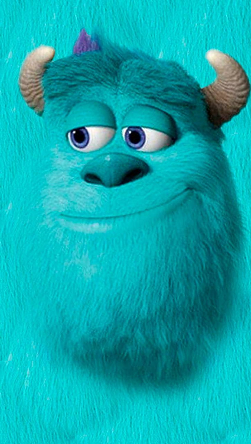 sully, Sulley HD phone wallpaper
