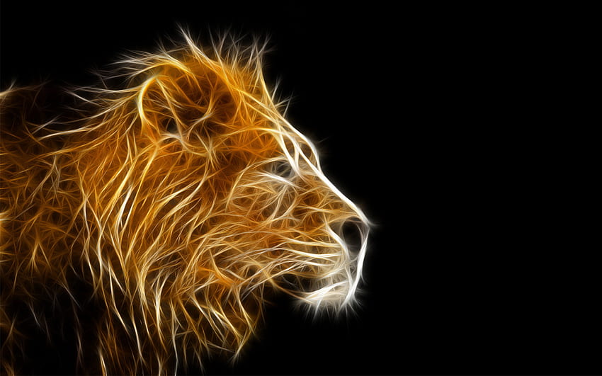 Animal : Lion Black And White Mobile with High Resolution HD wallpaper