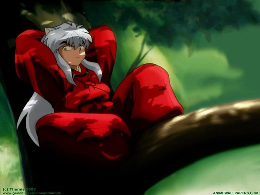 inuyasha in a tree, brouwn, green, red HD wallpaper