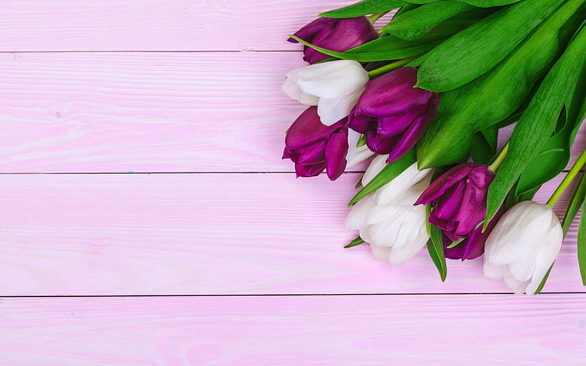 tulipani viola, bouquet di tulipani, tulipani bianchi, bouquet viola bianco, tulipani, con tulipani, fiori primaverili, tulipani su tavole Sfondo HD