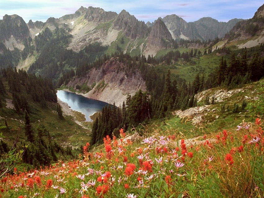 ทะเลสาบและดอกไม้ ทะเลสาบ ดอกไม้ วอลล์เปเปอร์ HD