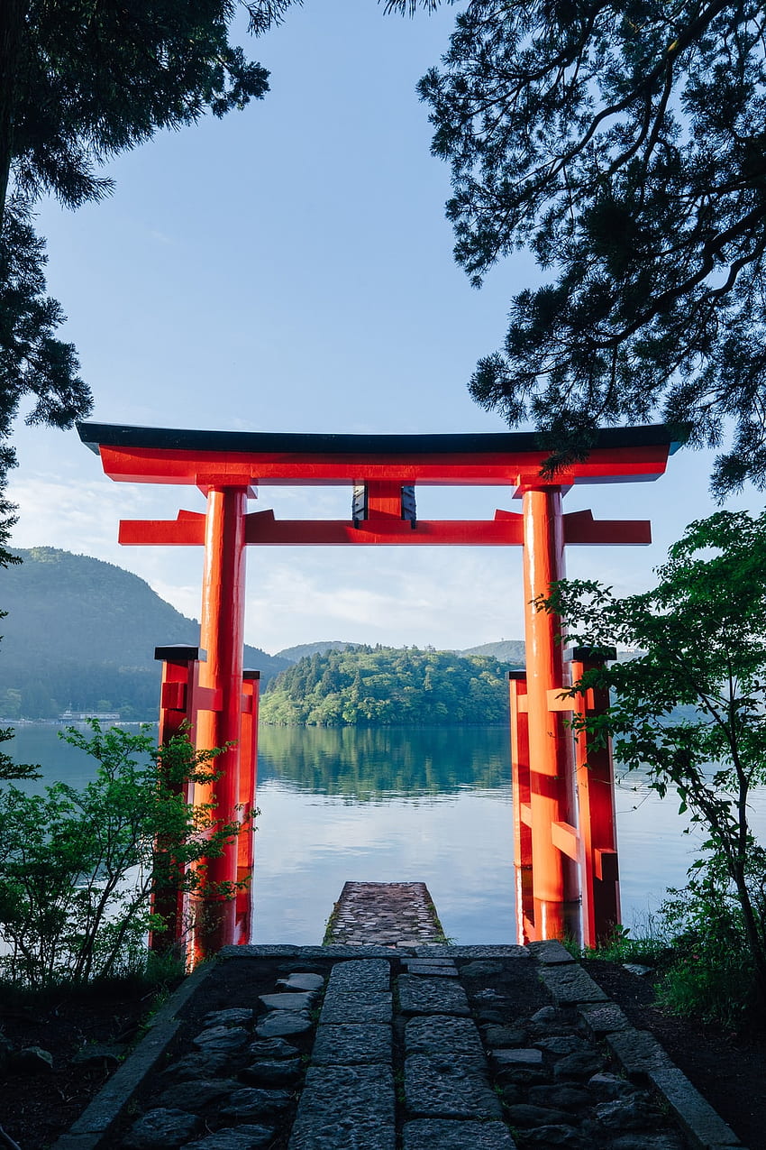 Puerta torii, torii japonés fondo de pantalla del teléfono
