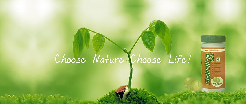 SanatProducts - A leading herbal products company. Green nature HD wallpaper