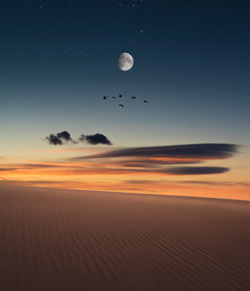Пълна луна, птици, пейзаж, пустиня HD тапет за телефон