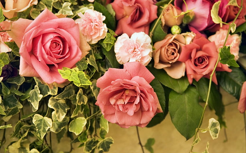 Rosen und Nelken, Efeu, Nelken, Rosen, Natur, Blumen HD-Hintergrundbild
