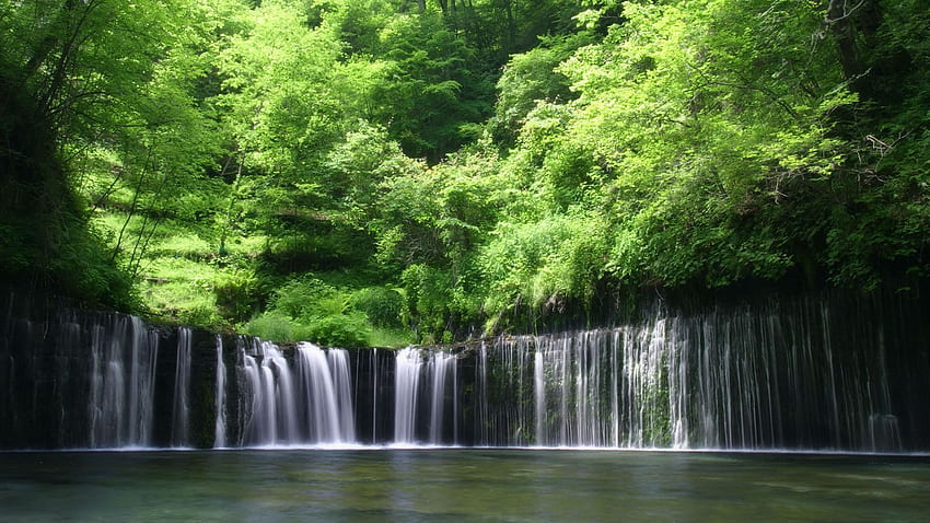 Regenwald Erstaunliche Natur. Schöne Wasserfälle, Waldwasserfall, Wasserfall, Kerala-Wald HD-Hintergrundbild