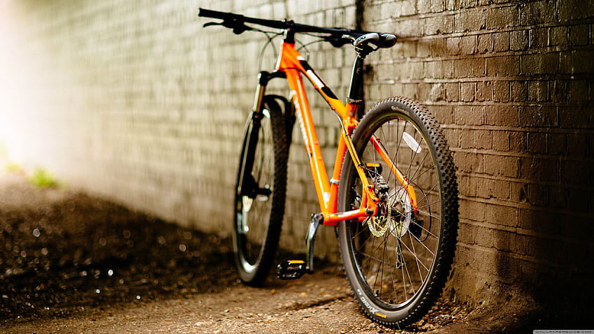 Mountain Bike, Scott Bikes HD wallpaper