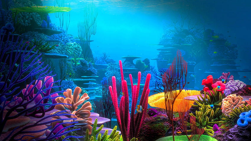Underwater world ., Sea World HD wallpaper