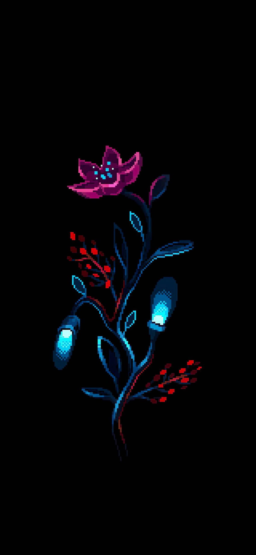 Fleur, belle, amoled, nature, noir, sombre Fond d'écran de téléphone HD