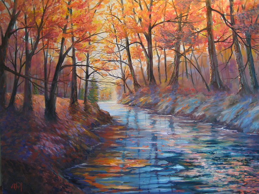 Morning Magic, riacho, mudança, floresta, outono, frio, estações do ano, laranja, nítido, legal, árvores, outono, água, virando, floresta papel de parede HD