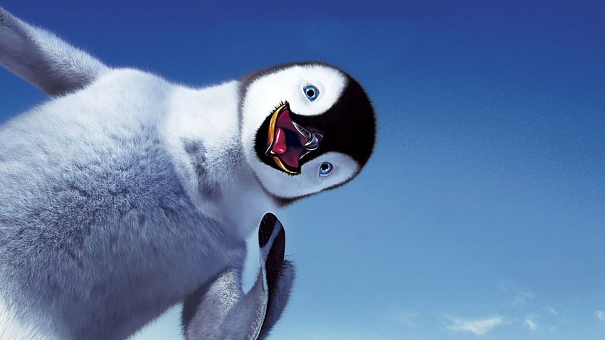 Cute Penguin For, Cool Penguin HD wallpaper