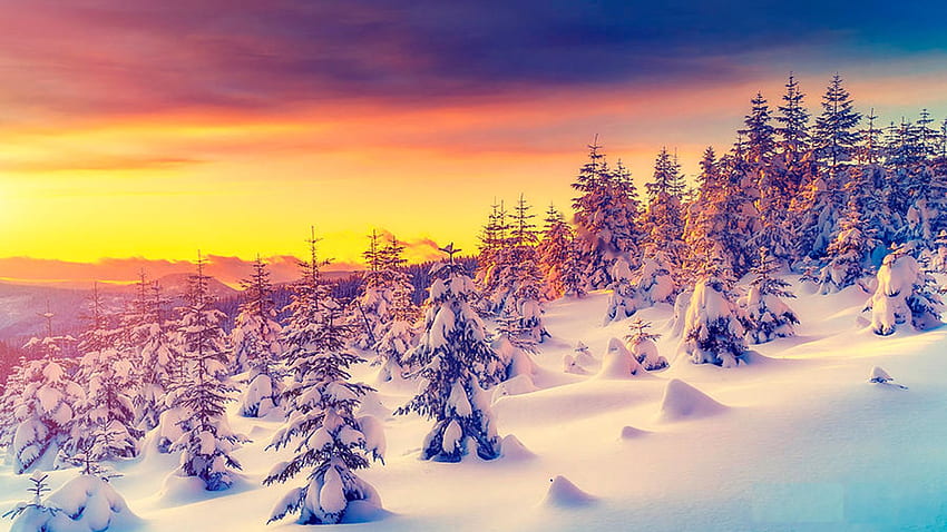 Fantastic Evening Landscape Glowing, sky, snow, winter, colors, trees, sunset HD wallpaper