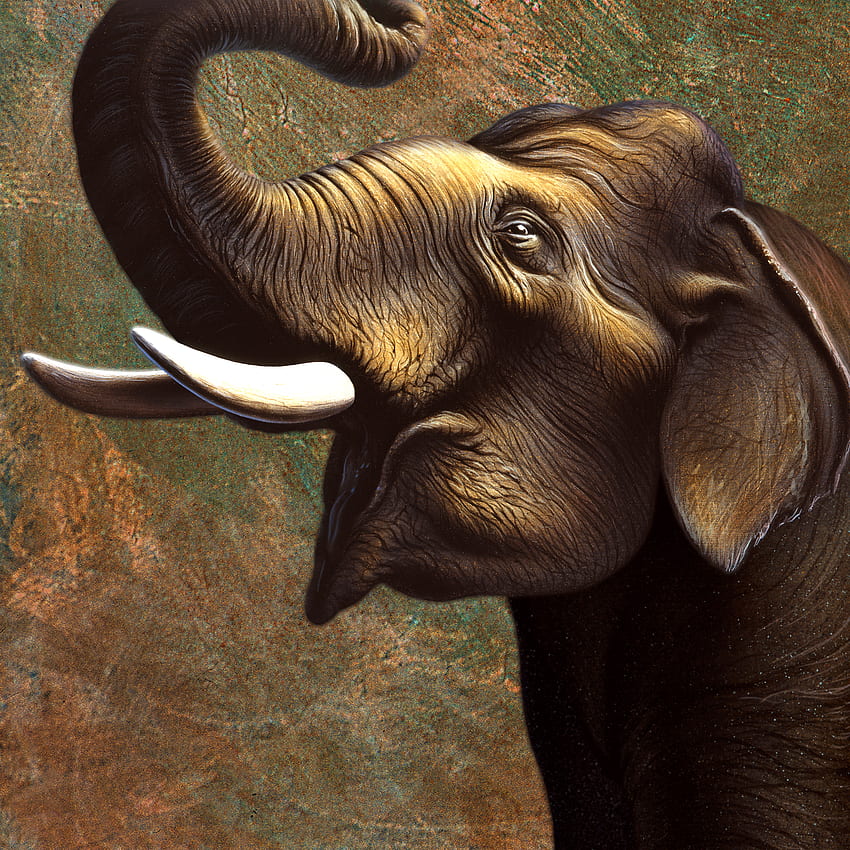 Стенопис с индийски слон - Индийски слон - - , слон от Керала HD тапет за телефон