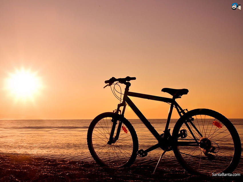 511417 1920x1200 cycling beautiful background  Rare Gallery HD Wallpapers