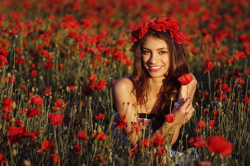 Poppies, lady, field, flower HD wallpaper | Pxfuel