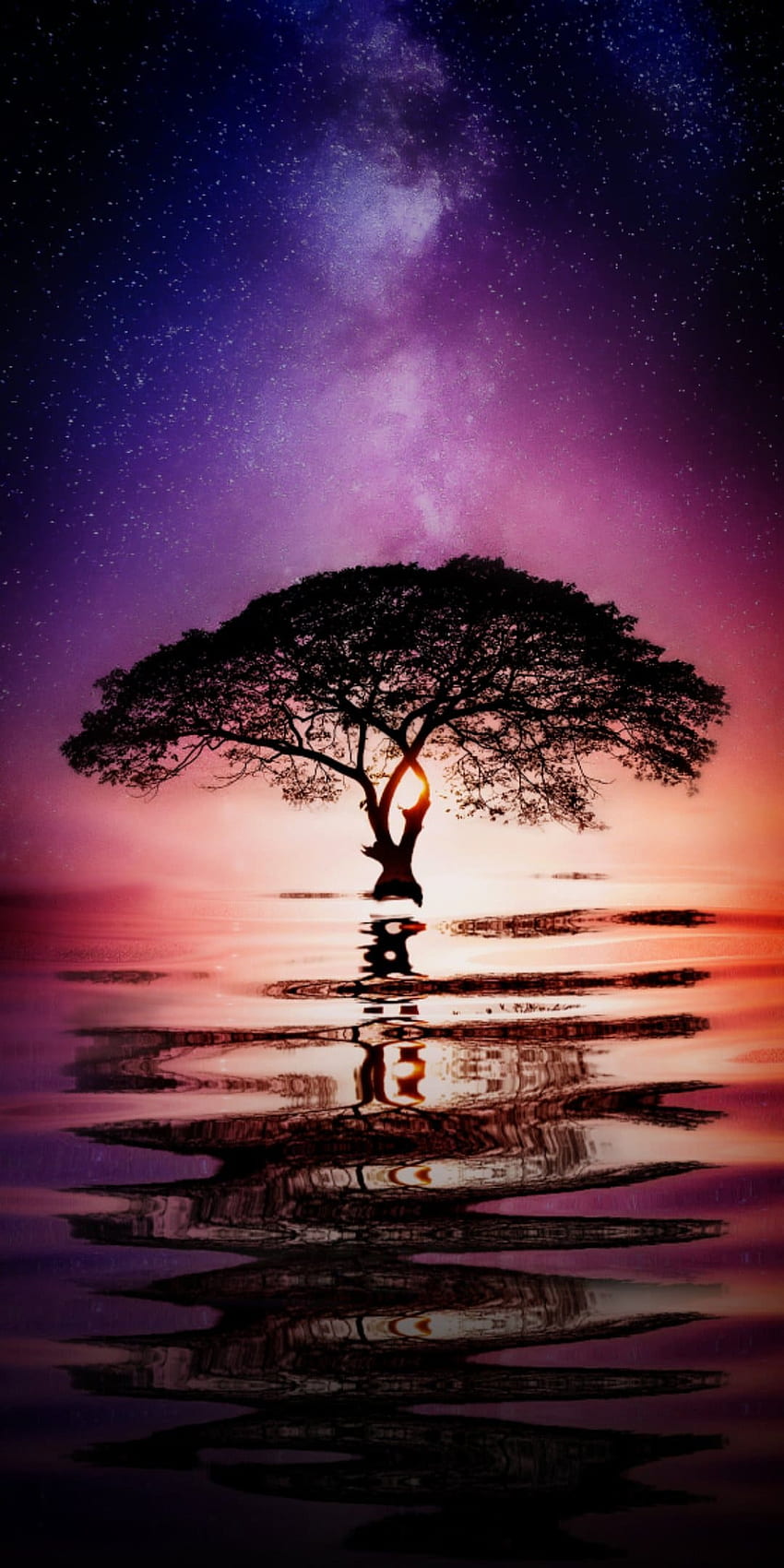 Water Tree - For Huawei -, Purple Tree HD phone wallpaper | Pxfuel