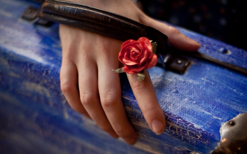 Summer Holiday, blue, black, hand, summer, rose, suitcase, holiday, flower, red HD wallpaper