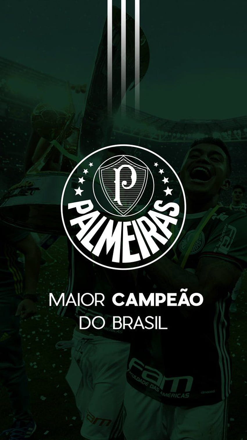 Palmeiras HD phone wallpaper