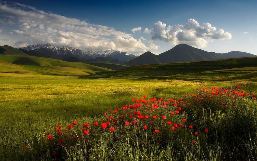 The beauty of spring, landscapes, snowy, clouds, flowers, grass, mountains HD wallpaper
