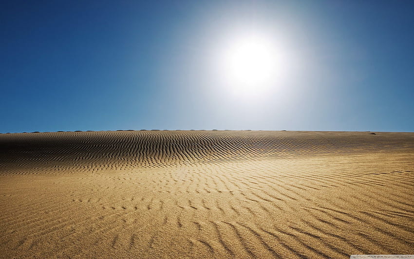 Desert Sun . Places to Visit. Life HD wallpaper