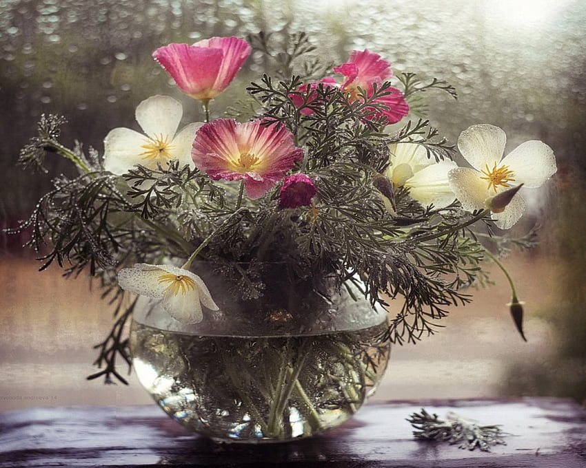 Sweet Bouquet, bouquet, lively, light, vase, flowers, water, beauty HD wallpaper