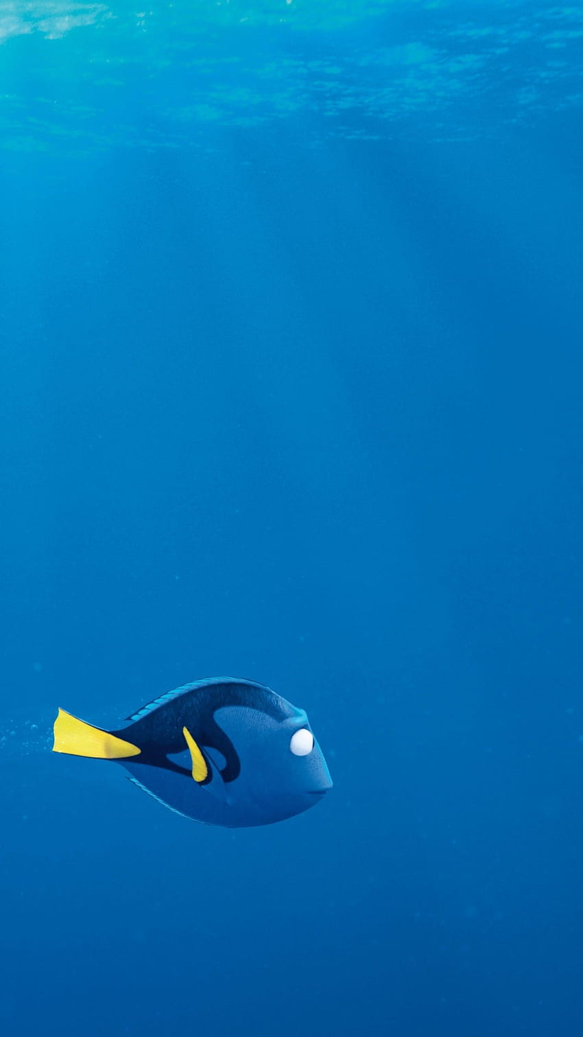 Finding Dory, nemo, shark, fish, Pixar, animation, Movies HD phone wallpaper