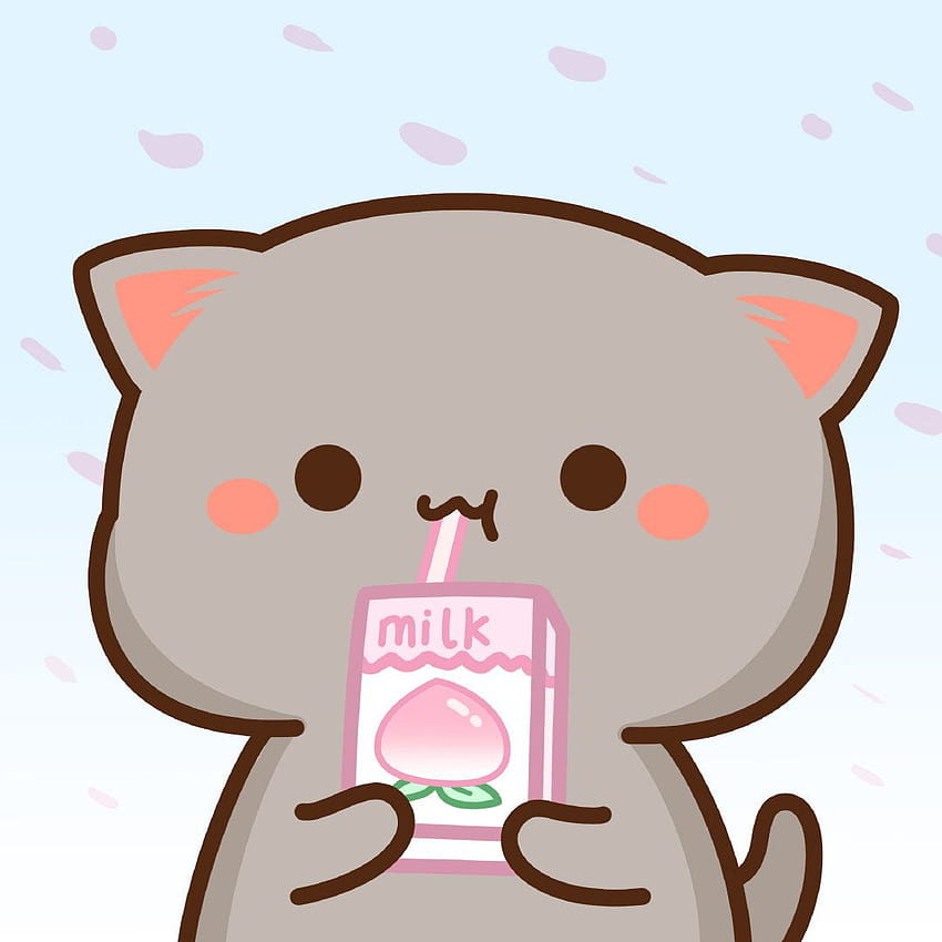 Dayahsn_ on cositas. Cute anime cat, Cute kawaii animals, Chibi cat HD  phone wallpaper | Pxfuel