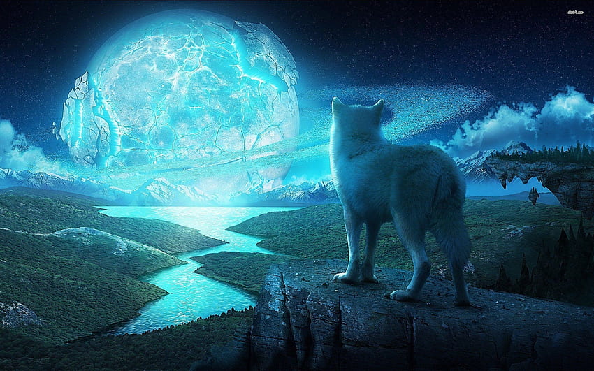Moon Wolf, Blue Moon and Wolf HD wallpaper