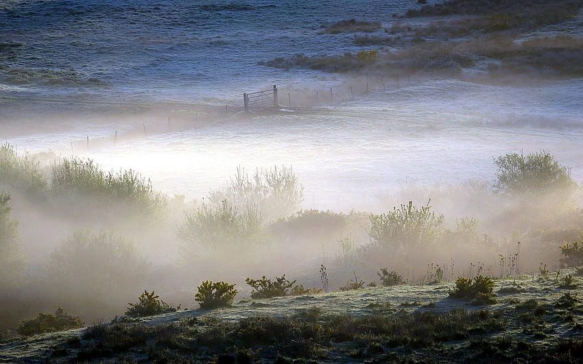 Natur, Nebel, Land, Feld, Sträucher, Tor, Tor, Grundstück HD-Hintergrundbild