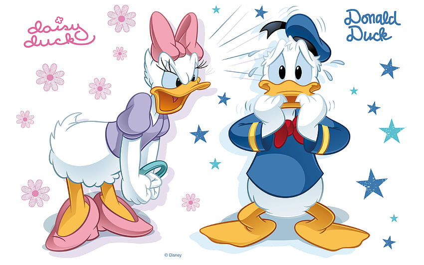 Donald Duck Dan Daisy Duck Kartun Disney Tense Moments Latar Belakang Wallpaper HD
