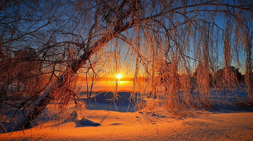 Зимен залез, лъчи, зима, скреж, пейзаж, сияние, красива, сняг, дървета, небе, залез HD тапет