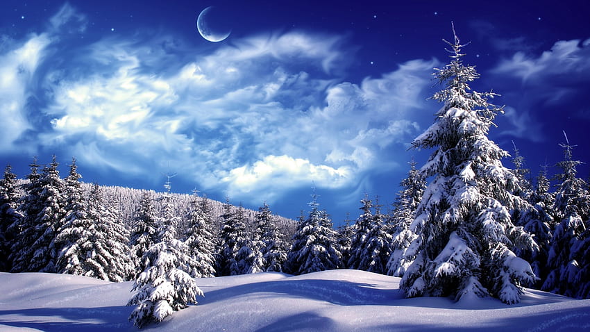 Snow, Moon, Trees, Scenic, Stars for U TV - Maiden HD wallpaper