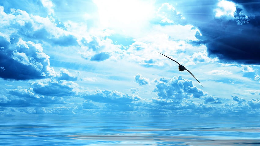 Bird over Ocean, Anime Ocean HD wallpaper