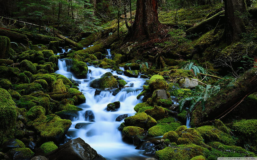 Mountain Stream Clipart, Mountain Streams Hd Wallpaper 