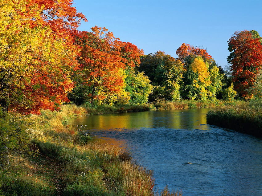 Природа, реки, дървета, есен, Канада, бряг, поток, брегове, Онтарио HD тапет