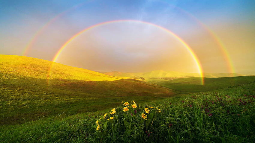 Double Rainbow over Bay Area, California, blossoms, coast, sea, clouds, sky, flowers, usa HD wallpaper
