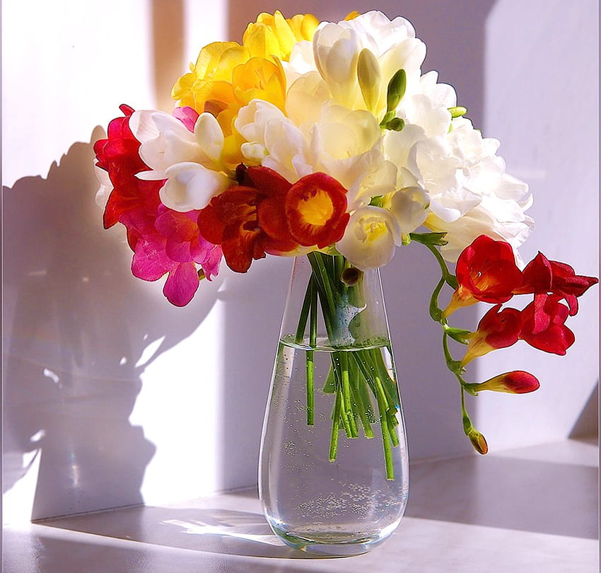 Good morning bouquet, sunny, white, vase, colors, bright, green, yellow, red, flowers HD wallpaper
