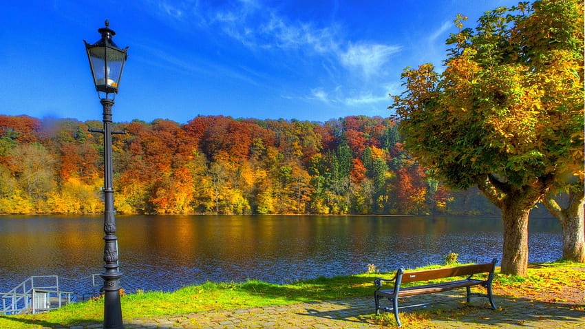 Autumn River Germany Bench Rhineland Palatinate HD wallpaper