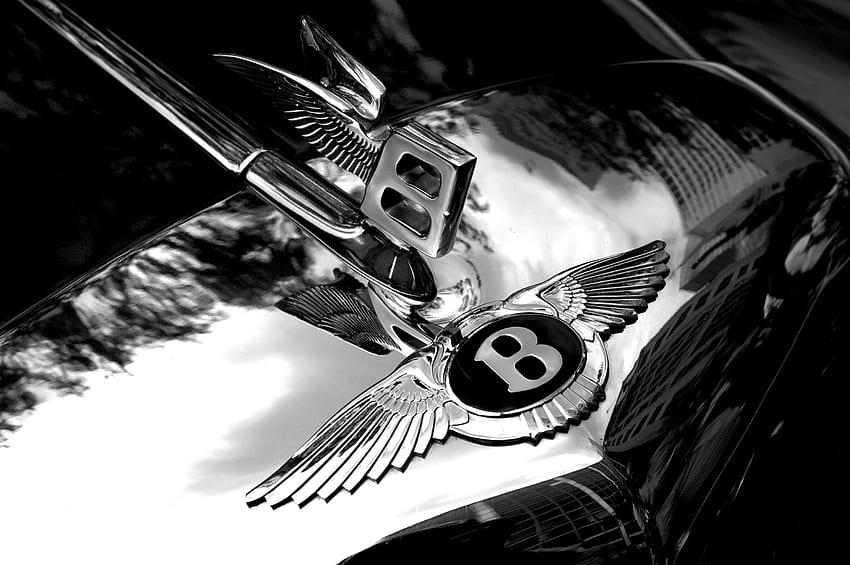 Bentley, Bentley Logo HD wallpaper