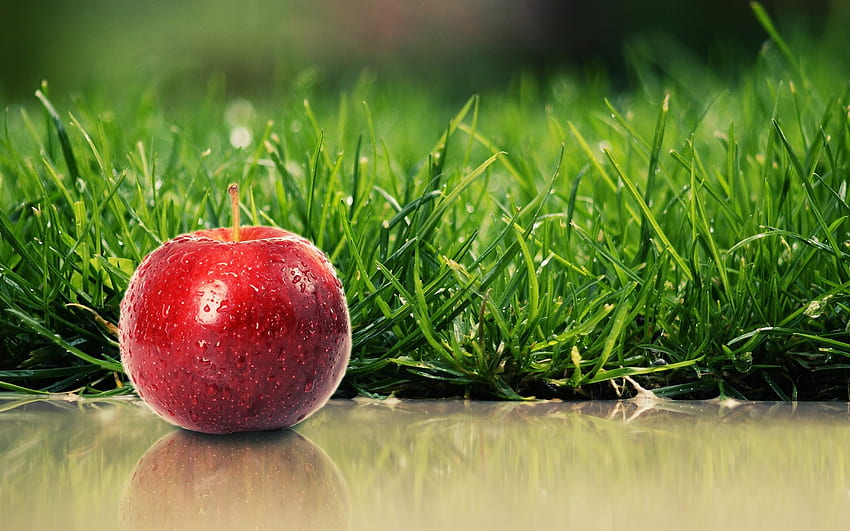 Apple. Grass, graphy, green, red, drops, fruit, apple, nature, grass HD wallpaper