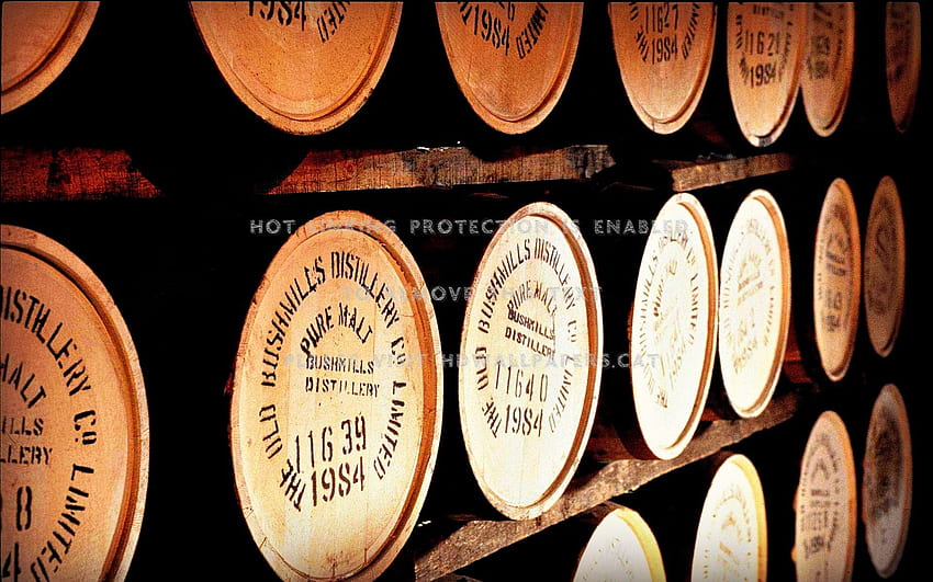 whiskey barrels irish distillery drink HD wallpaper