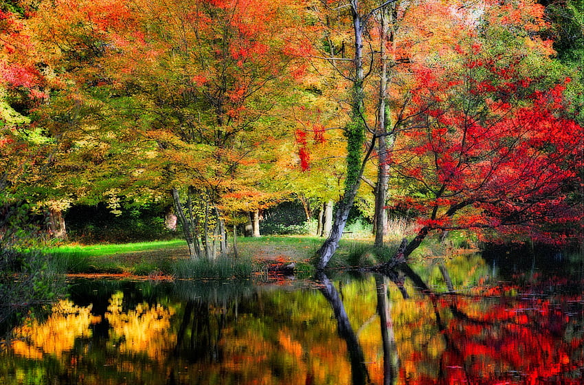 Estaré allí, colorido, otoño, colores, hermoso, serenidad, tranquilo, lago, parque, reflexión, árboles, otoño, bosque, estanque fondo de pantalla