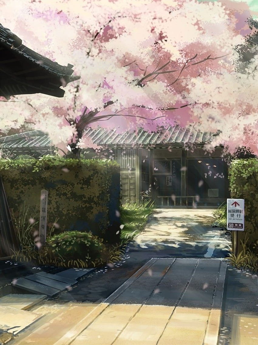 Cherry Blossom, Scenic, Anime Houses, Sunlight for Apple iPad 1, 2, Apple iPad Mini, Cherry Blossom Cenário Papel de parede de celular HD