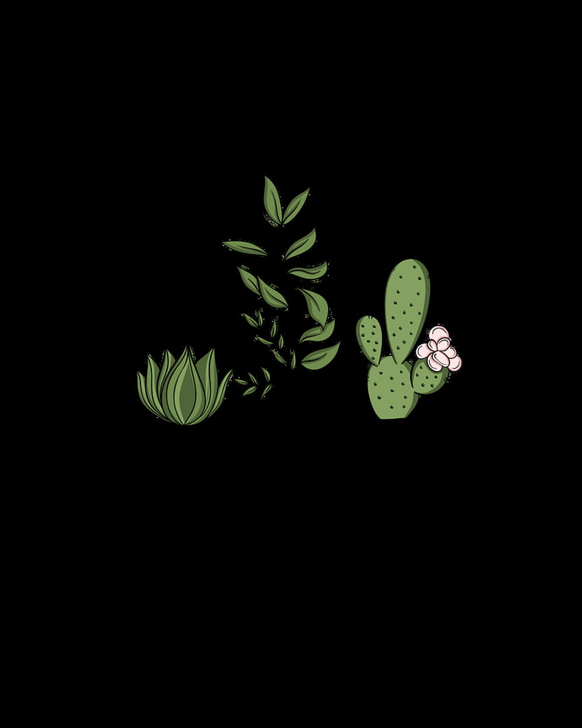 Three Little Succulents Sticker by Sabina Fenn Illustration - White Background - . Succulent art, Succulent painting, Succulent stickers, Small Cactus HD phone wallpaper