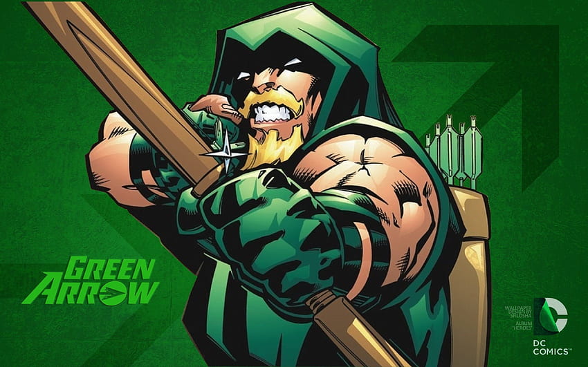 Green Arrow, Funny Green Arrow HD wallpaper