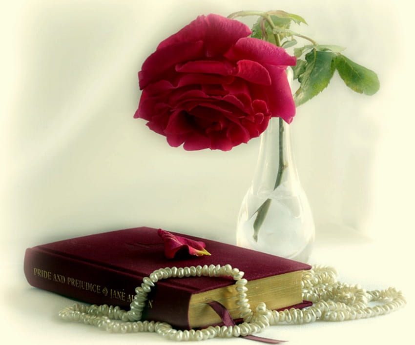 Pride, rose, still life, book, flower, pearls, vase, red rose HD wallpaper